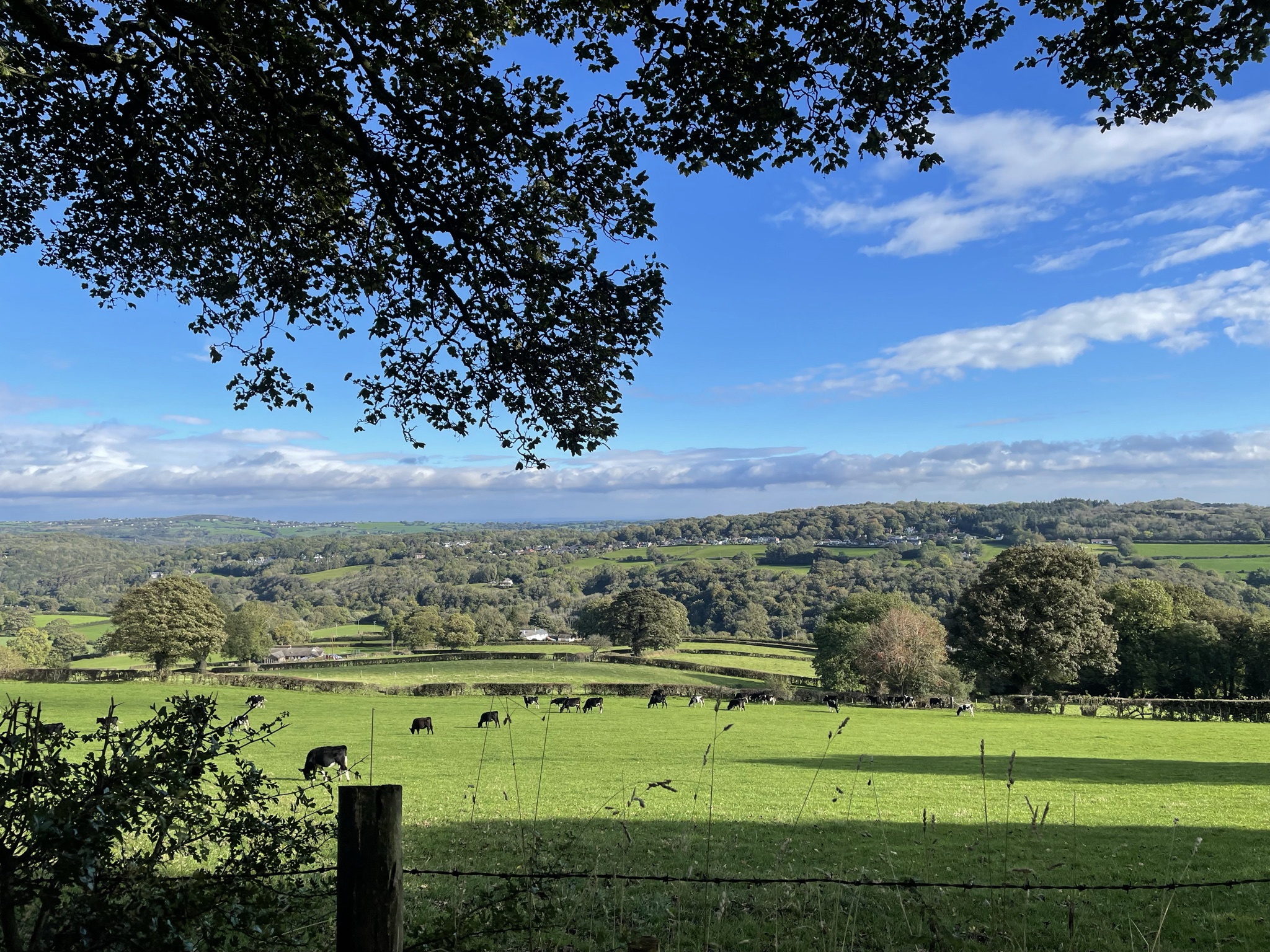 Wirral lanes looking towards Wales